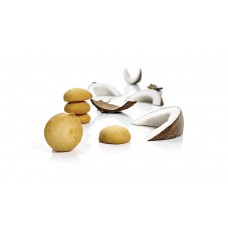 COCONUT BISCUIT DELIGHTS COCONUT BISCUIT DELIGHTS